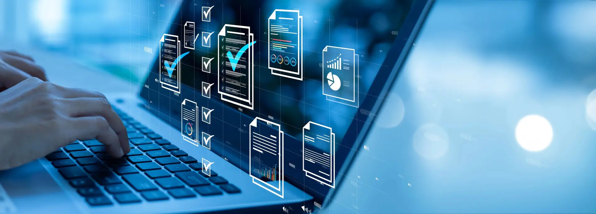 Executive Master of IT-Auditing