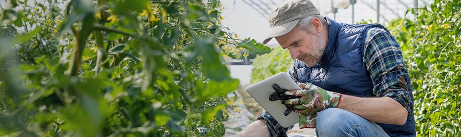 Executive MBA In Food En Agribusiness