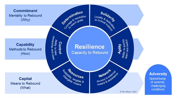 17_Rebound Model of Resilience 17_Rebound Model of Resilience
