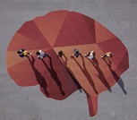 education social mme - Knowledge Article