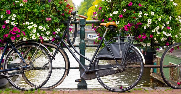 The Netherlands: the perfect place to kick-start your international management career