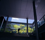 Knowledge_article-visual_article_gemeentelijk_vastgoed